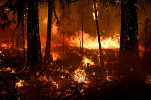 Mỹ: Cháy lớn đe dọa vườn quốc gia Yosemite - ảnh 3