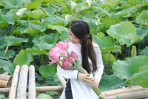 Ngắm thiếu nữ Hà thành khoe sắc bên hoa sen - ảnh 13