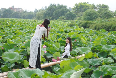 Ngắm thiếu nữ Hà thành khoe sắc bên hoa sen - ảnh 15