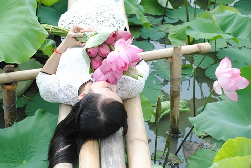 Ngắm thiếu nữ Hà thành khoe sắc bên hoa sen - ảnh 6