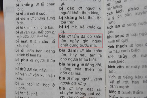 Khiếp đảm với định nghĩa trong Từ điển tiếng Việt dành cho học sinh - ảnh 13