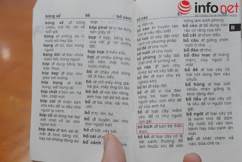 Khiếp đảm với định nghĩa trong Từ điển tiếng Việt dành cho học sinh - ảnh 1
