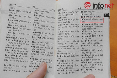 Khiếp đảm với định nghĩa trong Từ điển tiếng Việt dành cho học sinh - ảnh 11