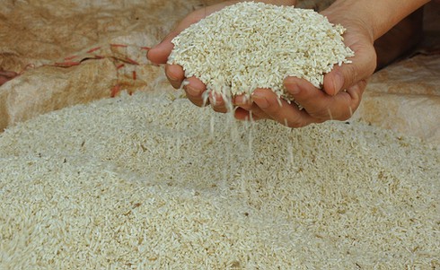 Hiện tượng lạ: Cơm… “hóa” thành gạo! - ảnh 1