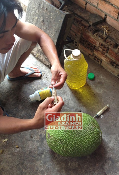 Mít chín siêu tốc sử dụng hóa chất loét da tay - ảnh 4