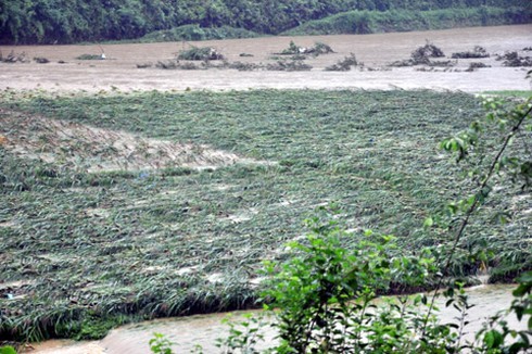 Mưa lũ phía Bắc: Người chết, đường bị cô lập - ảnh 2