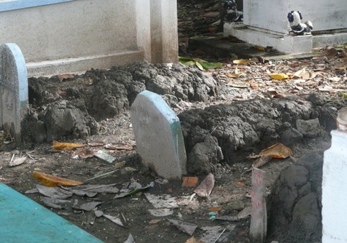 TP.HCM: Rờn rợn cảnh sống với... người chết - ảnh 10