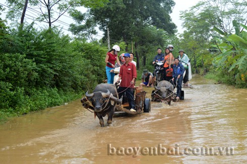 Hình ảnh lũ lớn ở miền núi phía Bắc - ảnh 3