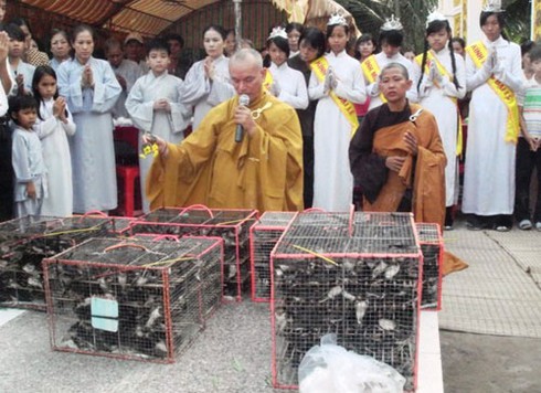 Mùa Vu lan: Phóng sinh thế nào cho đúng? - ảnh 1