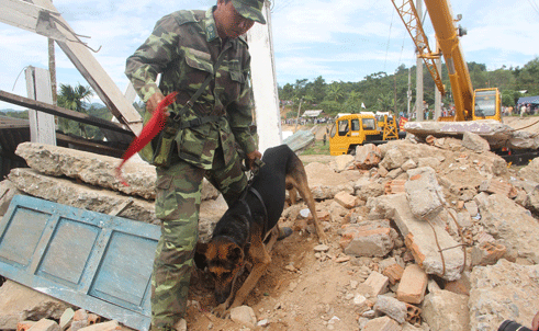 Diễn tập ứng phó động đất: Quần chúng đóng... như thật! - ảnh 13