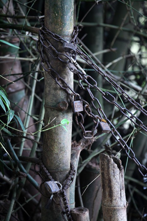 Nơi học trò vượt sông Kỳ Cùng hung dữ đi học - ảnh 3