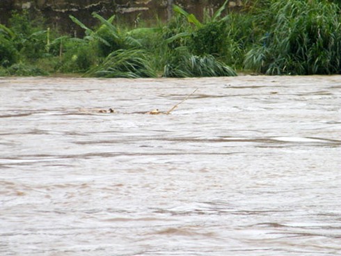 Lũ quét kinh hoàng ở Sa Pa: 5 người chết, 10 nhà trôi - ảnh 1