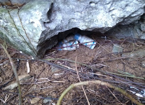 Vụ chôn thuốc BVTV: Thêm những dấu hiệu bất thường - ảnh 1