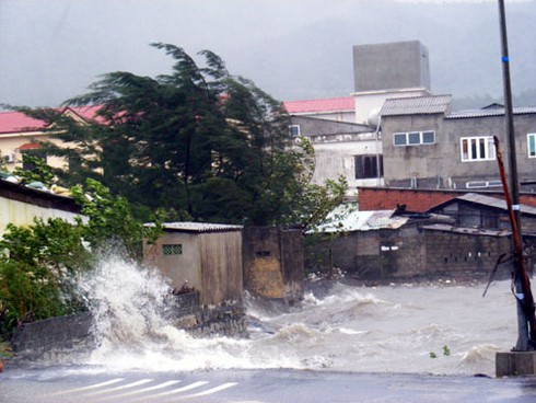 Bão số 10 vào Miền Trung: Những thiệt hại ban đầu - ảnh 3