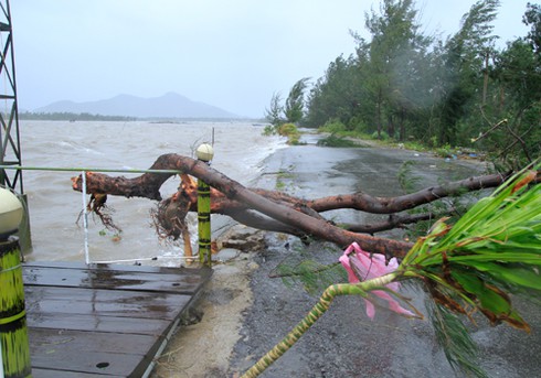 Bão số 10 vào Miền Trung: Những thiệt hại ban đầu - ảnh 6