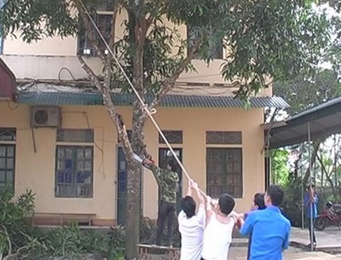Hai người thiệt mạng lúc phòng chống bão 14 - ảnh 1