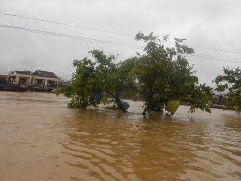 Lũ dâng cao, phố cổ Hội An chìm trong biển nước - ảnh 8
