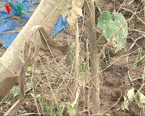 Tận mắt thấy rốn lũ: Chỉ còn lại bùn và rác - ảnh 11