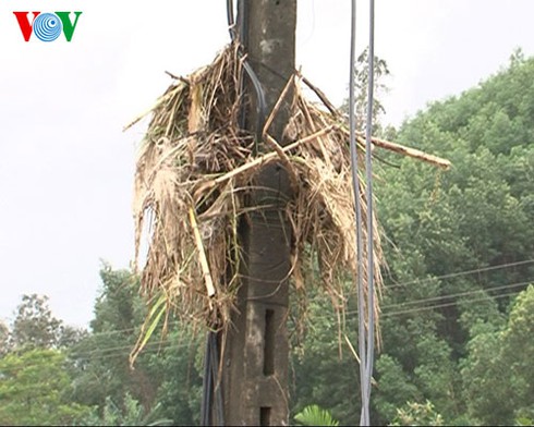 Tận mắt thấy rốn lũ: Chỉ còn lại bùn và rác - ảnh 4