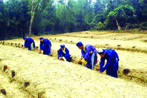 Nghĩa trang cá Ông: Để tang như cho chính cha mẹ mình - ảnh 3