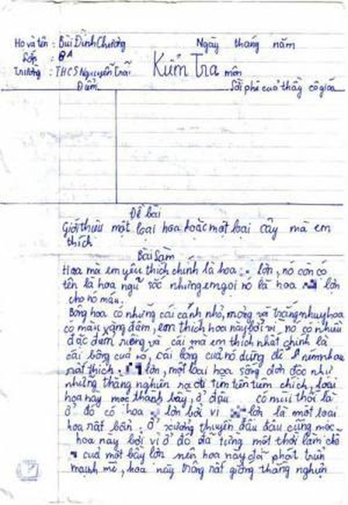 3 bài văn tả thực khiến người đọc phì cười - ảnh 2