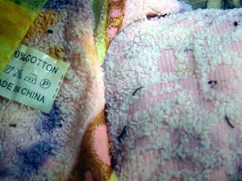 Bác bỏ tin khăn tắm Trung Quốc “đẻ” ra ấu trùng - ảnh 1