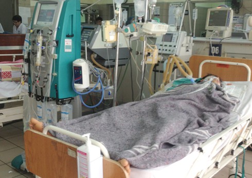 1,6 tỷ đồng chữa ngộ độc nấm: 5 người đã tử vong - ảnh 1