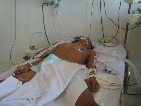 Ăn nhộng ve sầu: 3 người nhập viện, 1 người tử vong - ảnh 1