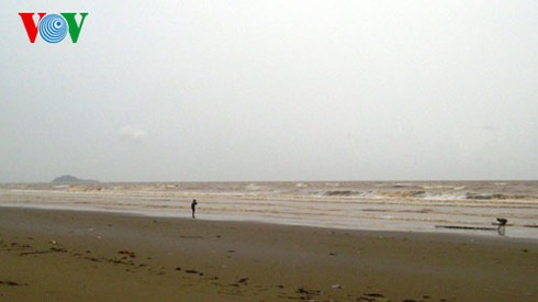 Thanh Hóa: Tắm biển, hai anh em ruột chết đuối thương tâm - ảnh 1