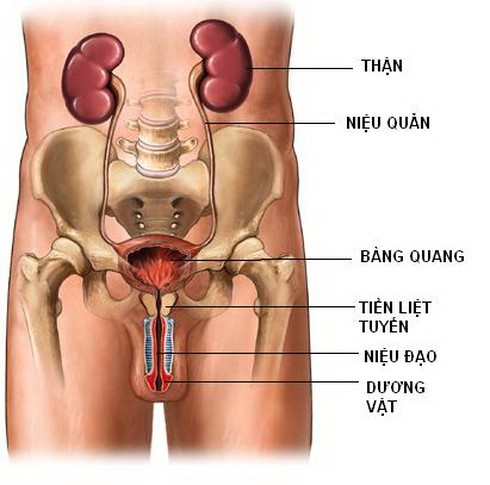 Mùa hè: Giữ cho vùng kín khỏi nhiễm khuẩn - ảnh 3