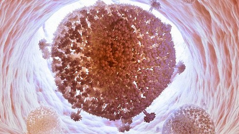 Virus HIV đã bị loại bỏ thành công khỏi tế bào người - ảnh 1