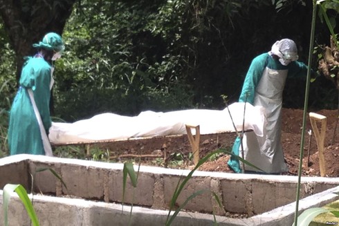 Bản tin đại dịch Ebola ngày 7/8: Hơn 100 cán bộ y tế nhiễm vi rút - ảnh 1
