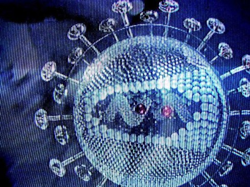 10 virus chết người nguy hiểm nhất thế giới - ảnh 5