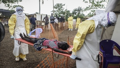 Vì sao 120 nhân viên y tế thiệt mạng trong đại dịch Ebola? - ảnh 1