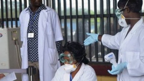 Thêm một nước xác nhận trường hợp đầu tiên nhiễm virut Ebola - ảnh 1