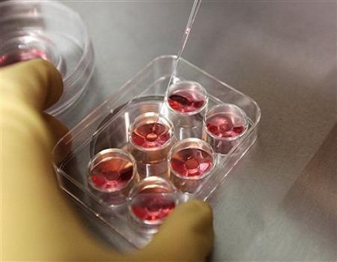 10 sự thật về phương pháp đông lạnh trứng phụ nữ nên biết - ảnh 1