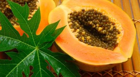 12 loại thực phẩm cực tốt giúp cơ thể sát khuẩn - ảnh 1