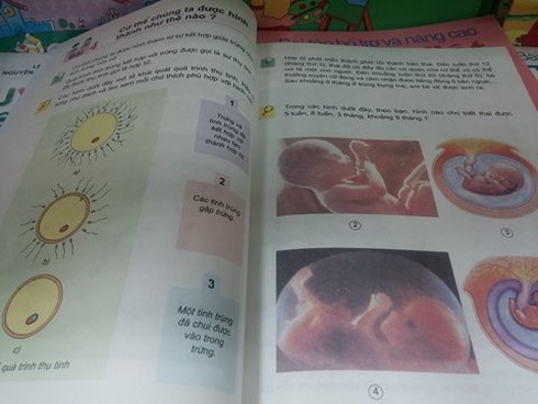 Sách lớp 5 đề cập chuyện phụ nữ có thai - ảnh 1