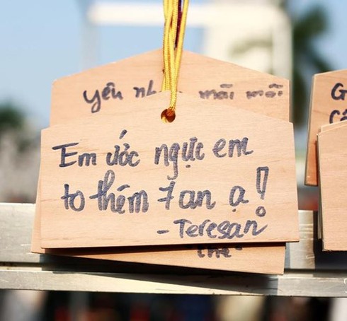 Những điều ước phản cảm của giới trẻ trong lễ hội văn hóa Nhật Bản - ảnh 6