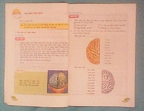 Choáng với sách dạy kỹ năng sống cho học sinh tiểu học - ảnh 3