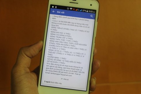 Lừa đảo bán bằng giả - ảnh 1