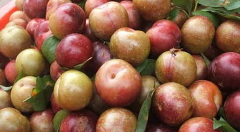 Những loại quả mùa hè cần hạn chế ăn khi trời nắng nóng - ảnh 1