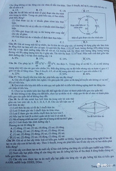 Đề thi môn Sinh học kỳ thi THPT quốc gia 2015 - ảnh 5