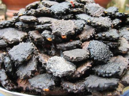 Thuốc hay dân gian trị viêm xoang chỉ từ 25 hạt gấc - ảnh 1