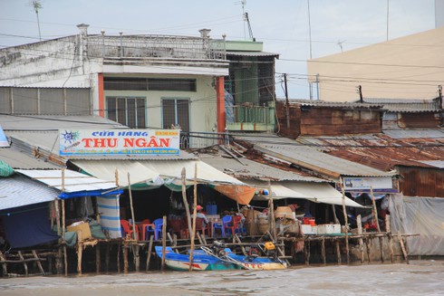 Ngắm cuộc sống sông nước của người dân Cà Mau - ảnh 3