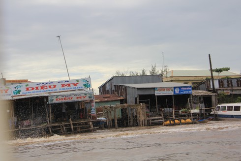 Ngắm cuộc sống sông nước của người dân Cà Mau - ảnh 4