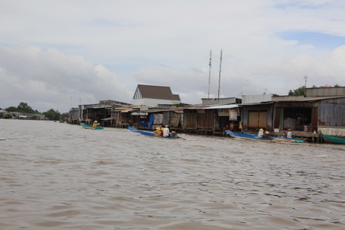 Ngắm cuộc sống sông nước của người dân Cà Mau - ảnh 7