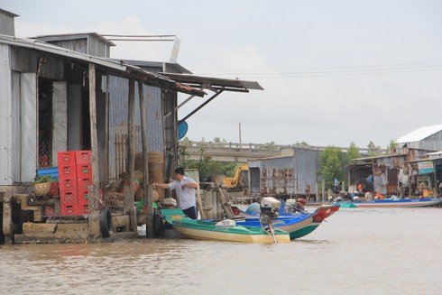 Ngắm cuộc sống sông nước của người dân Cà Mau - ảnh 21