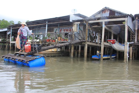 Ngắm cuộc sống sông nước của người dân Cà Mau - ảnh 23