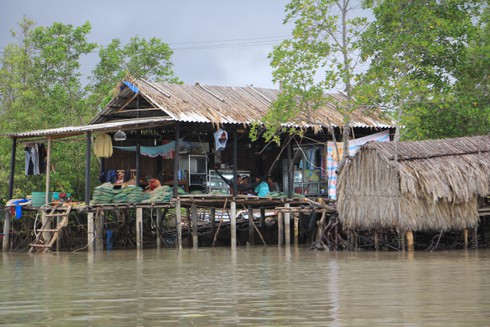 Ngắm cuộc sống sông nước của người dân Cà Mau - ảnh 25